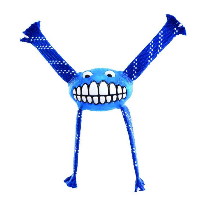 Rogz Small Flossy Grinz Oralcare Toy