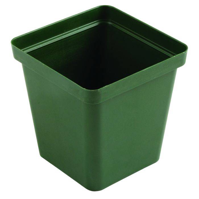 Square Green Plastic Pot 10cm