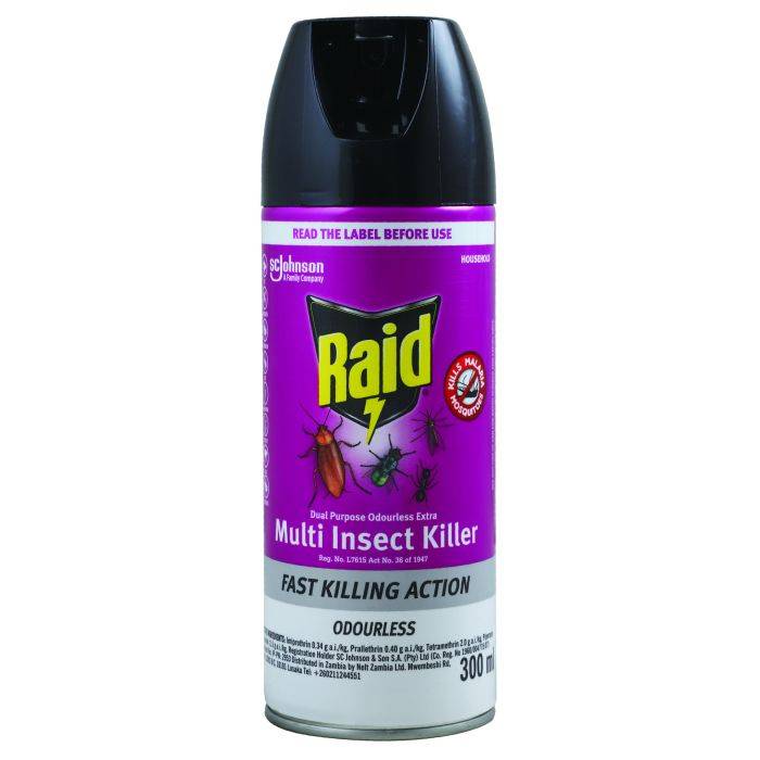 Raid 300ml Odourless Dual Purpose Insects Poison Spray