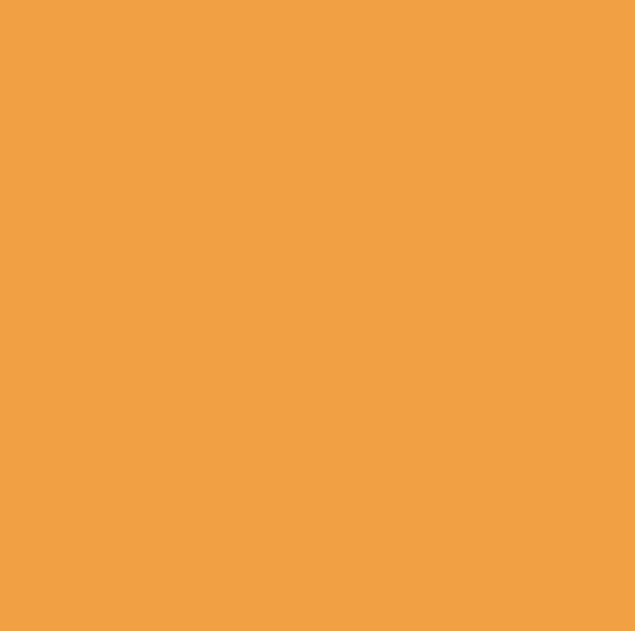 2007489 - Cricut Infusible Ink Transfer Sheets 2-Pack (Tangerine) 12X12