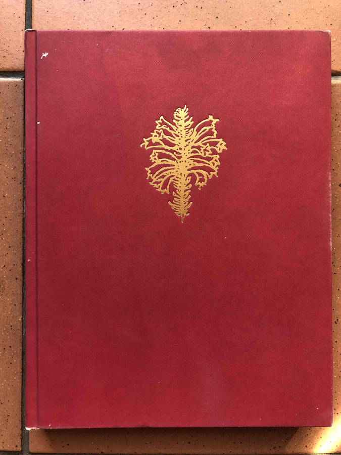 Ericas of South Africa