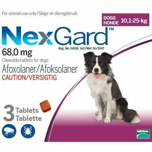 NexGard 10.1-25kg - 1's