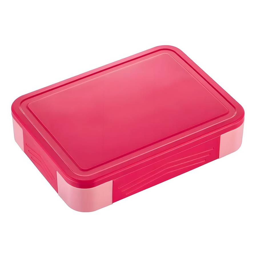 Colorful Compartment Lunchbox - with a fork- spoon- and small container Watermelon + Teal