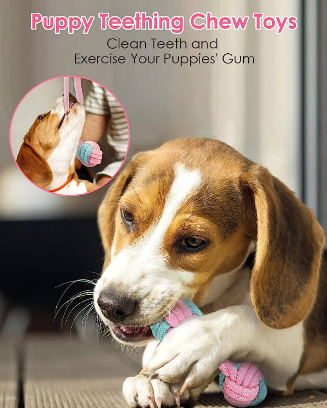 Puppy Teething Chew Toys & Dog Rope Toys for Aggressive Chewers | Safe & Durable | Set of 8