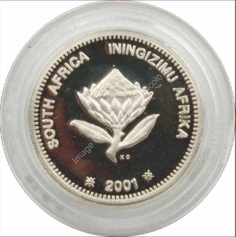 2001_Silver_2_Half_cent_Dolphin_coin_ob