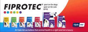 Fiprotec - Small Dog 0-10kg Blue-Single