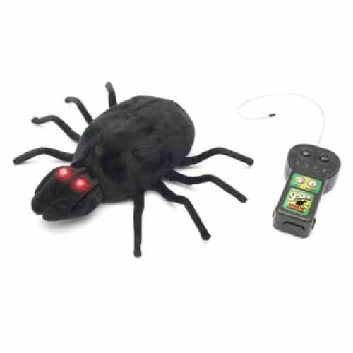 Radio Controlled Spider