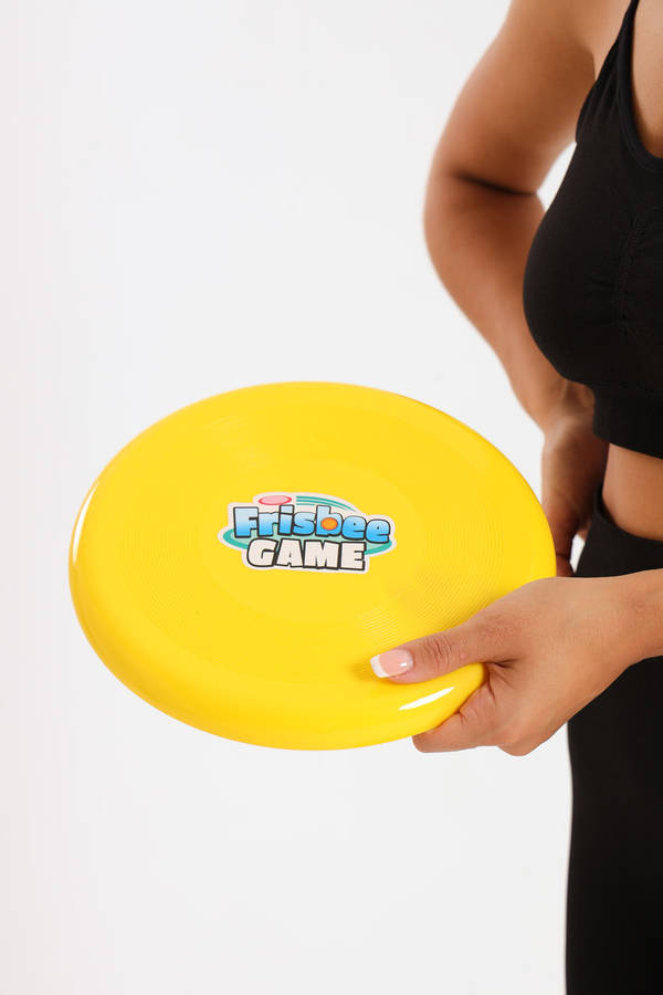 Frisbee Flying Disc