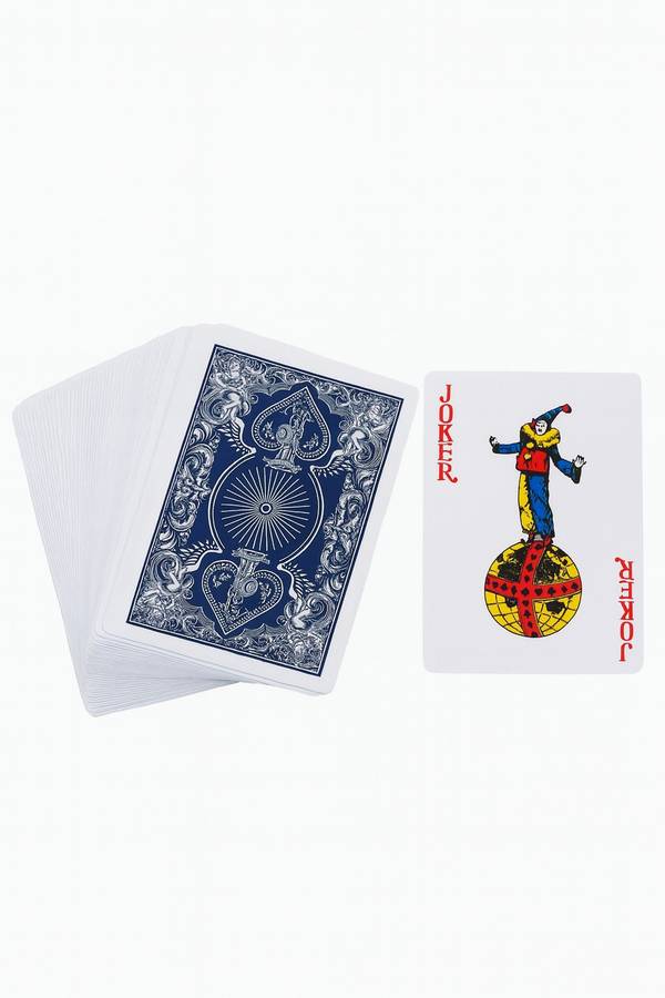Senza® 2 Pack BluBike Playing Cards Plastic Coated