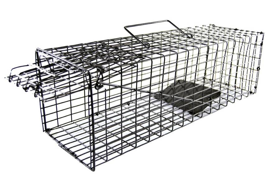 rat cage trap vermin