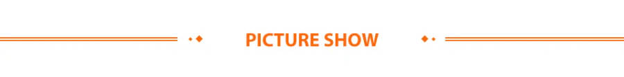 Picture Show