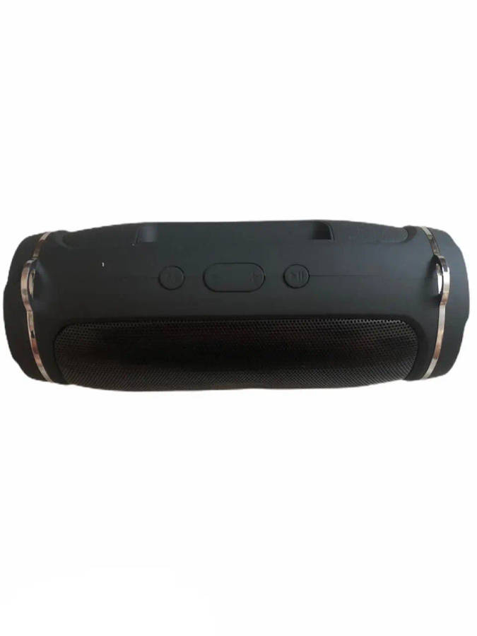 Charge Mini 4+ Portable Wireless Speaker