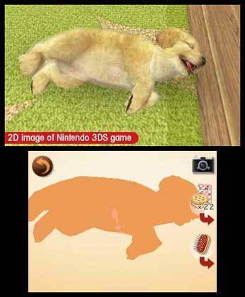 Nintendogs + Cats: Golden Retriever & New Friends (Nintendo 3DS)