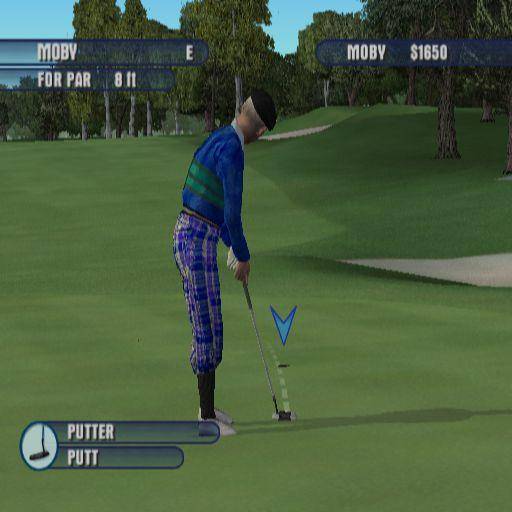Tiger Woods PGA Tour 2004 (PlayStation 2)