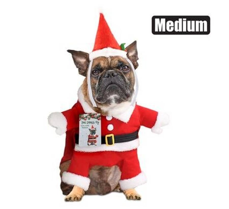 Xmas pet dog dress up santa medium