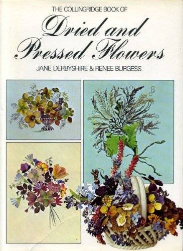 DRIED & PRESSED FLOWERS COLLINRIDGE - Jane Derbyshire