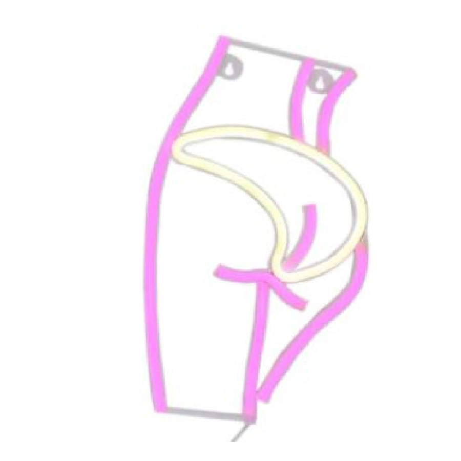 Ladys Behind Silhouette Neon Sign USB And Battery Operated
