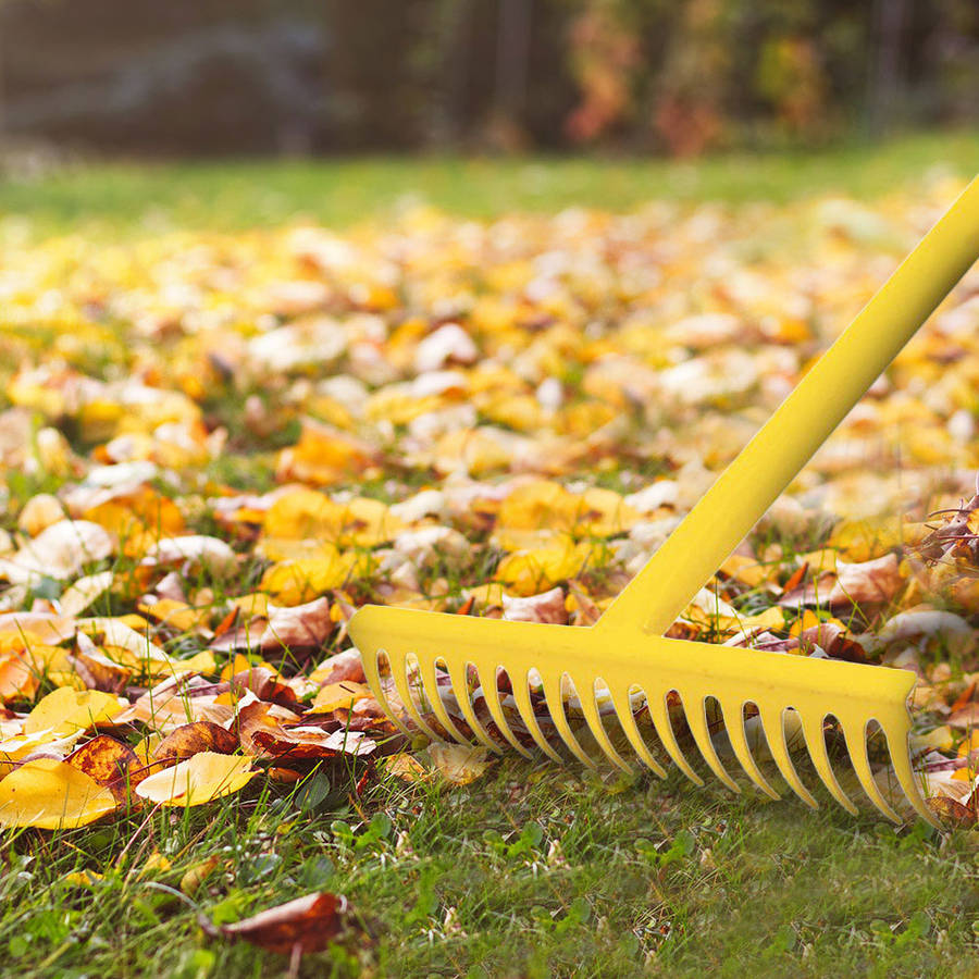 Garden Steel 16 Tooth Leaf Rake - Yellow
