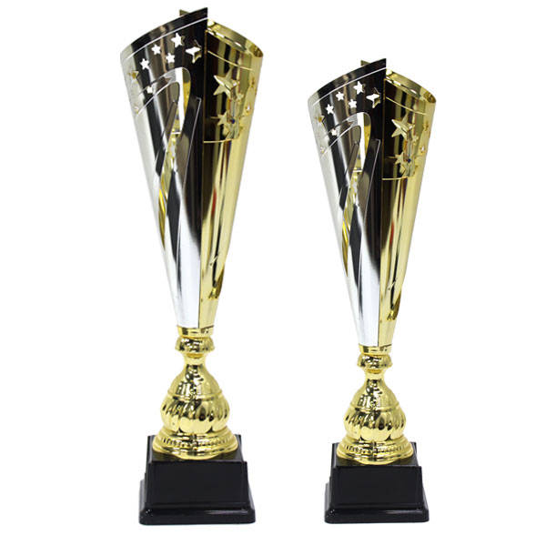 Iconic Gold &amp; Silver Star Trophy  Combo Set