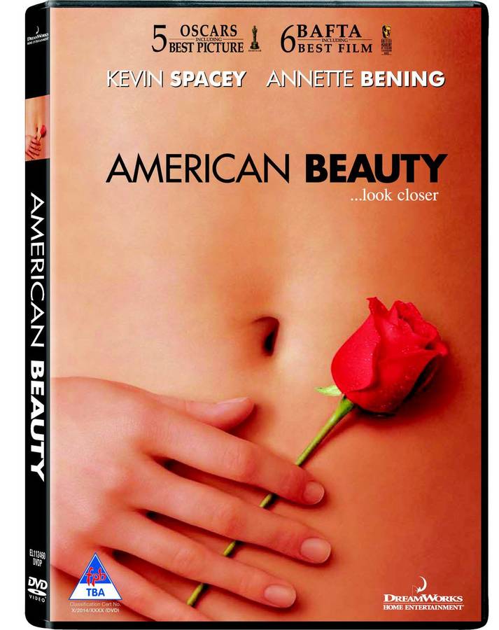 American Beauty (DVD)