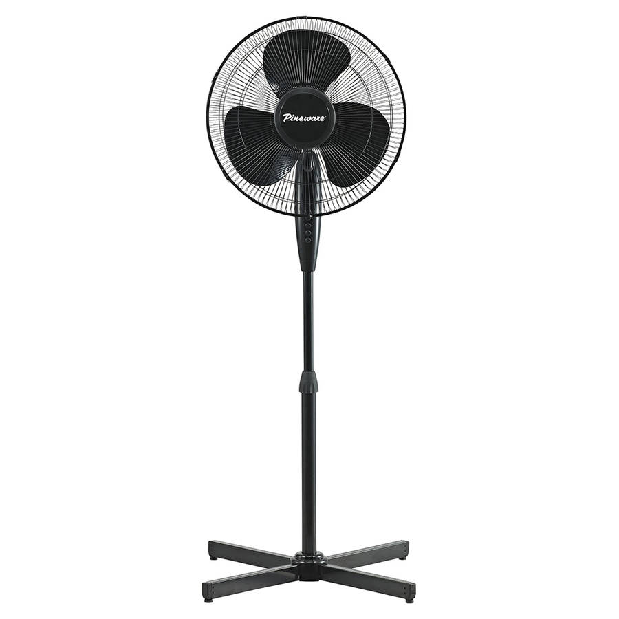 Black Pedestal Fan, 40cm
