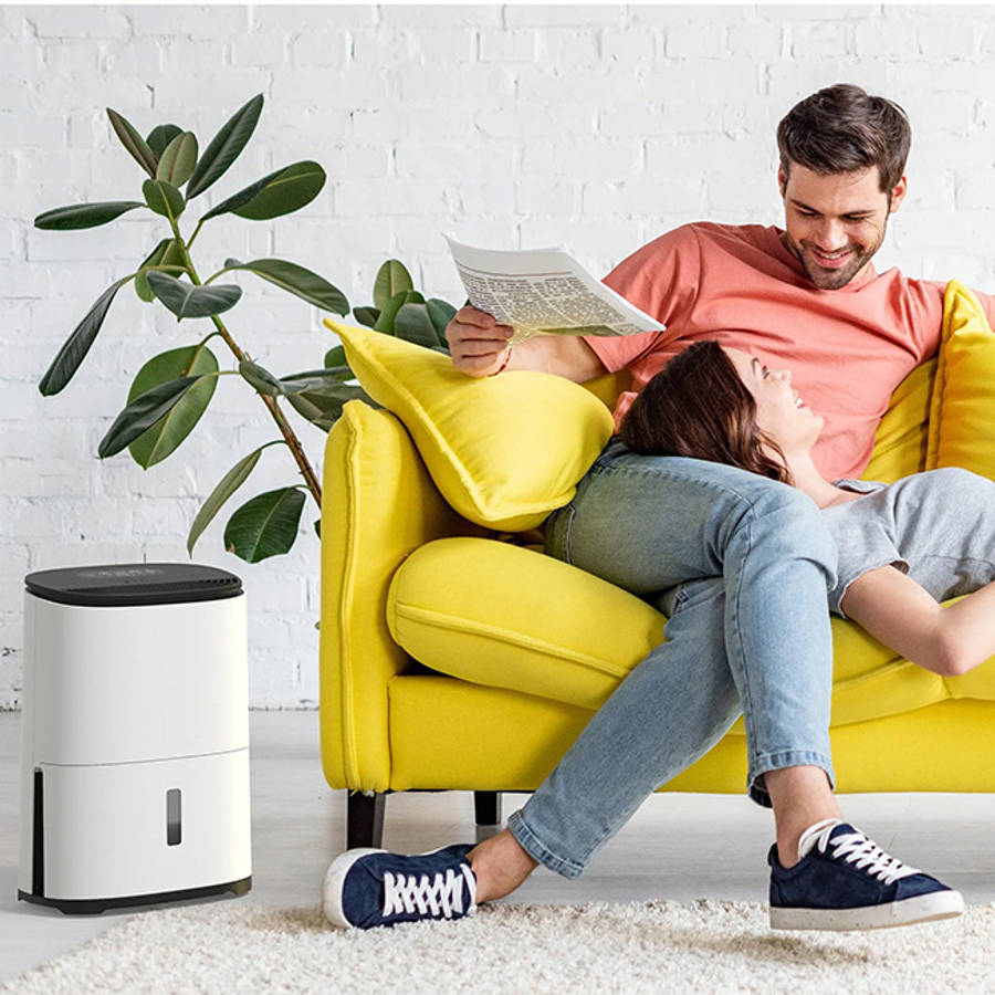 MeacoDry Arete One Dehumidifier & Air Purifier, 12L