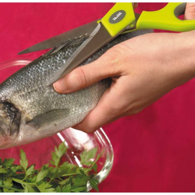 Easycook Kitchen Scissors