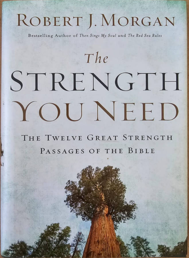 The Strength You Need - Robert J Morgan