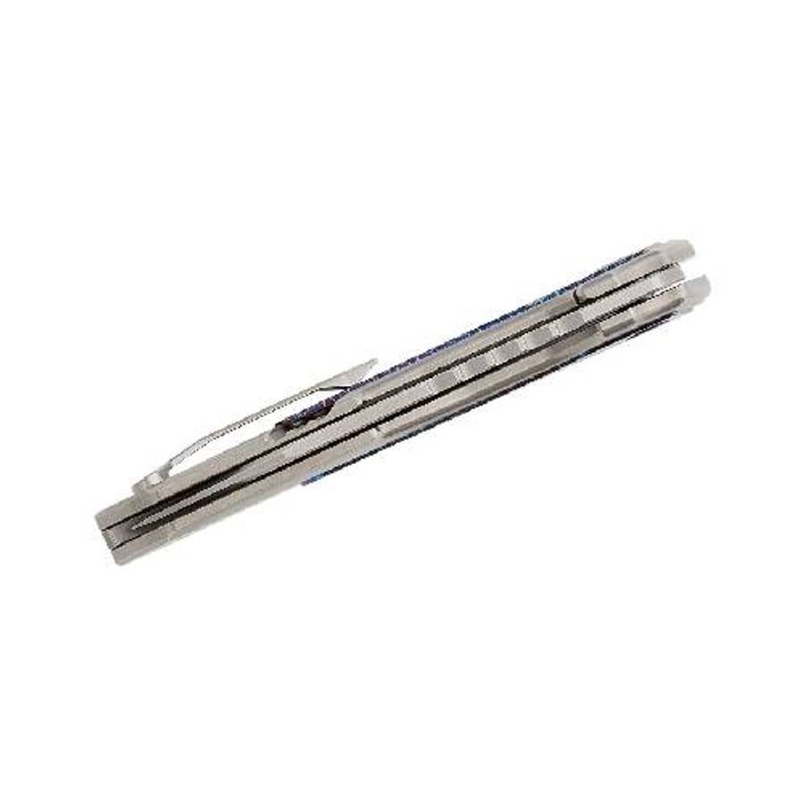 WE Falcaria - WE23012B-1