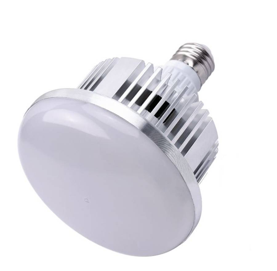 PM-300 Photography Light With Remote