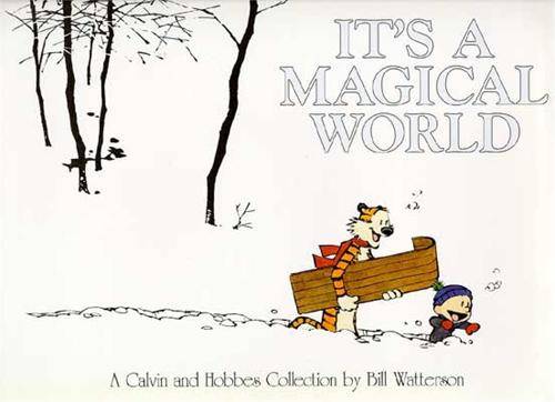 It's a Magical World (Calvin & Hobbes # 11)