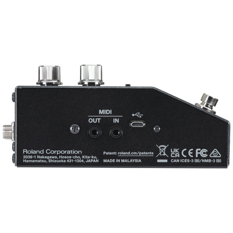 Boss RV-200 Reverb Pedal