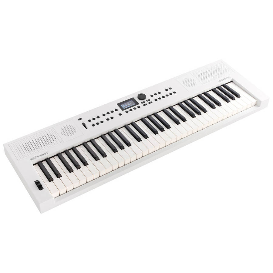 Roland GO:KEYS 5 Keyboard - White