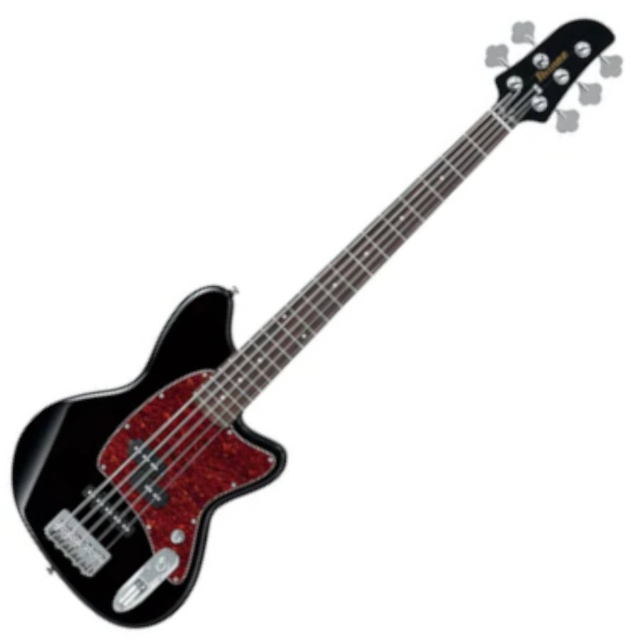 Ibanez Talman TMB105 5-string Bass Guitar - Black