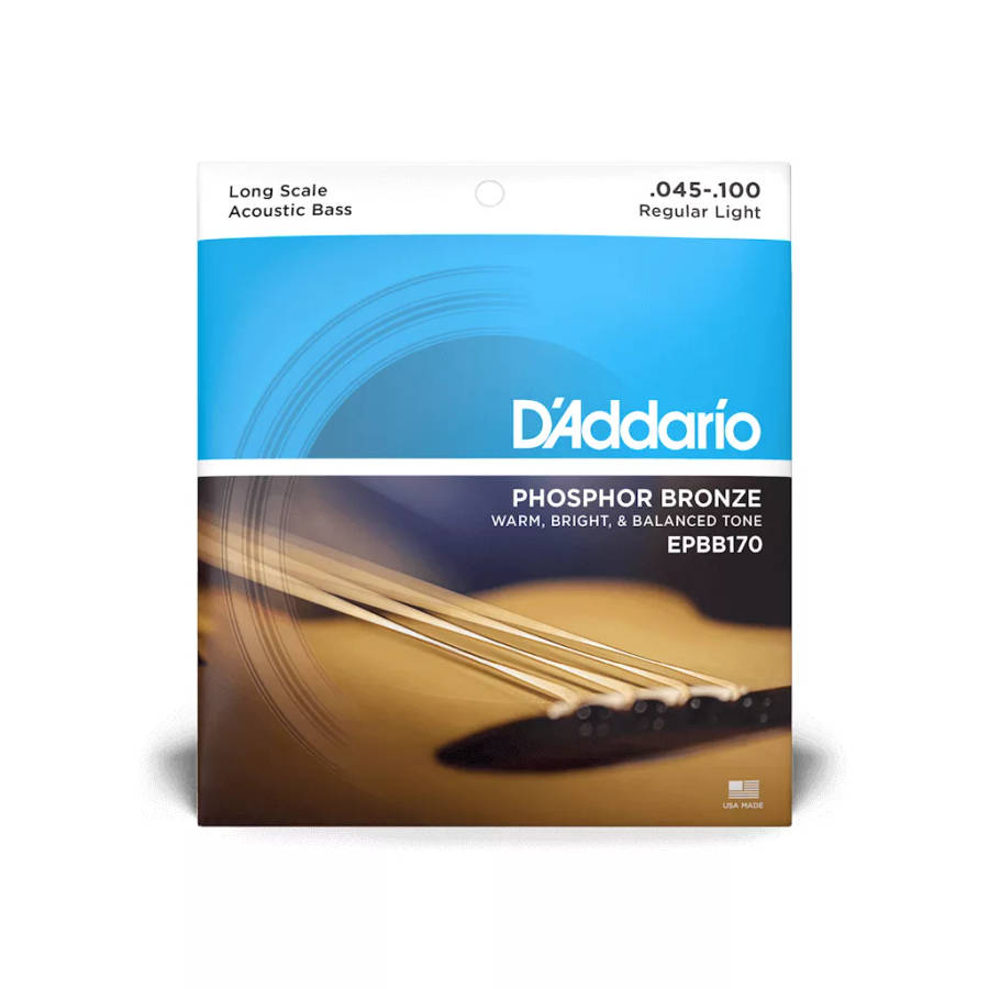 D'Addario 45-100 Regular Light Long Scale Acoustic Bass Strings