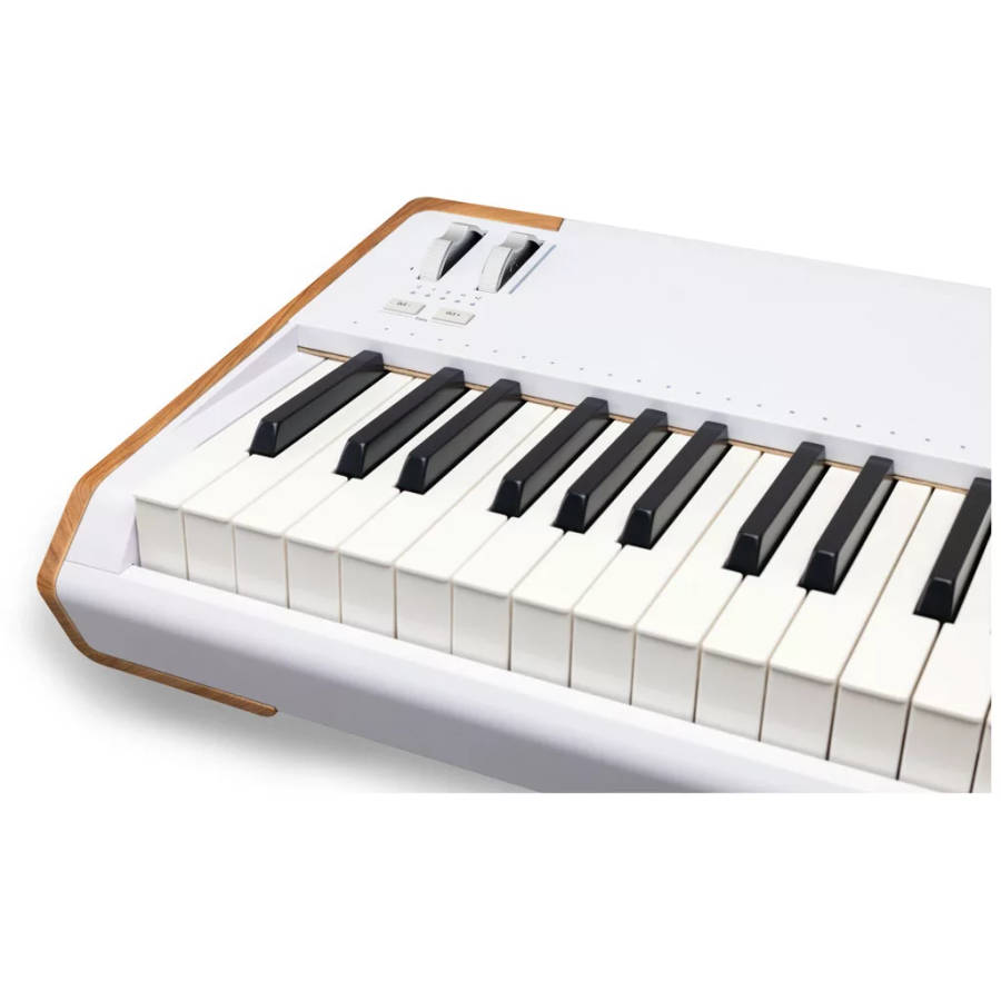 Arturia AstroLab 88-key Stage Keyboard - White