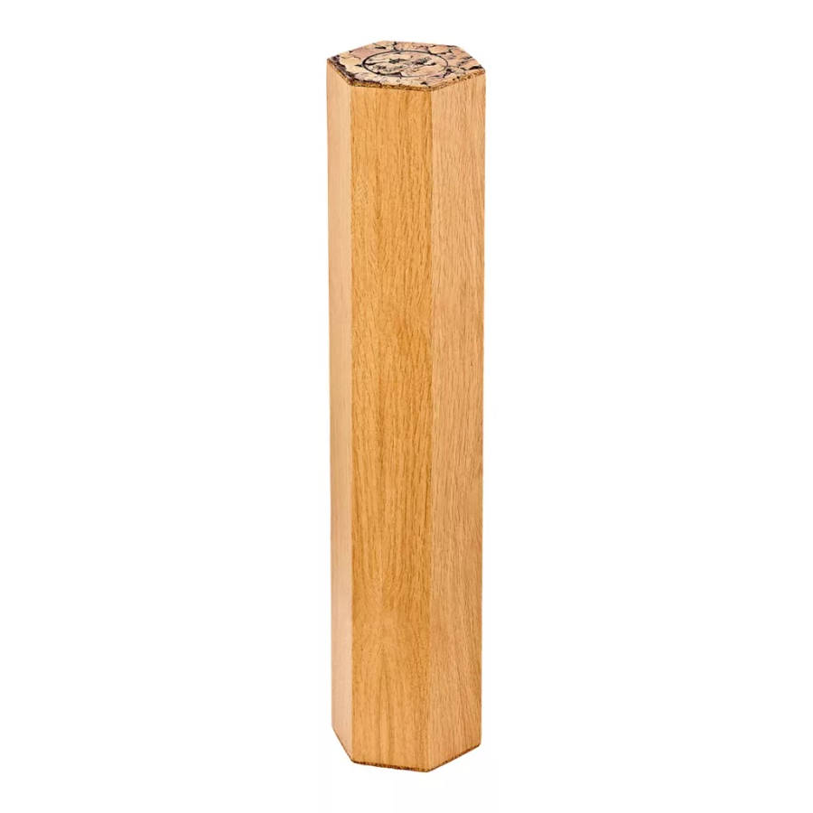 Meinl Sonic Energy 5-Minute Rainmaker