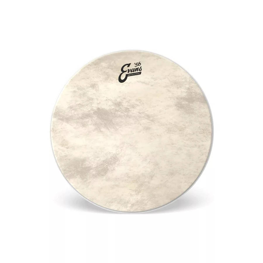 Evans EQ4 Calftone Coated 22" Drumhead