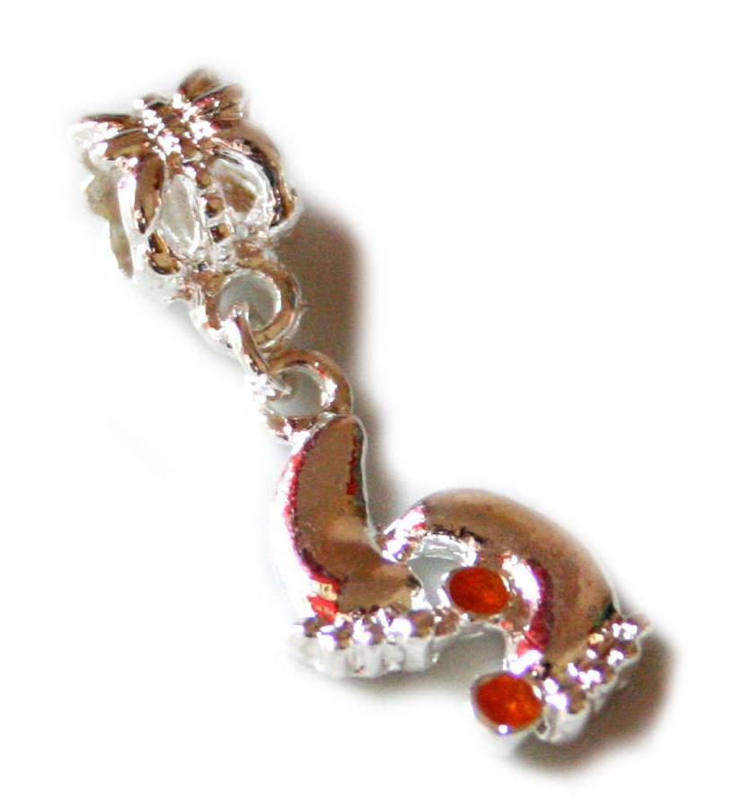 Cloisonne feet pendant, fits Pandora bracelets