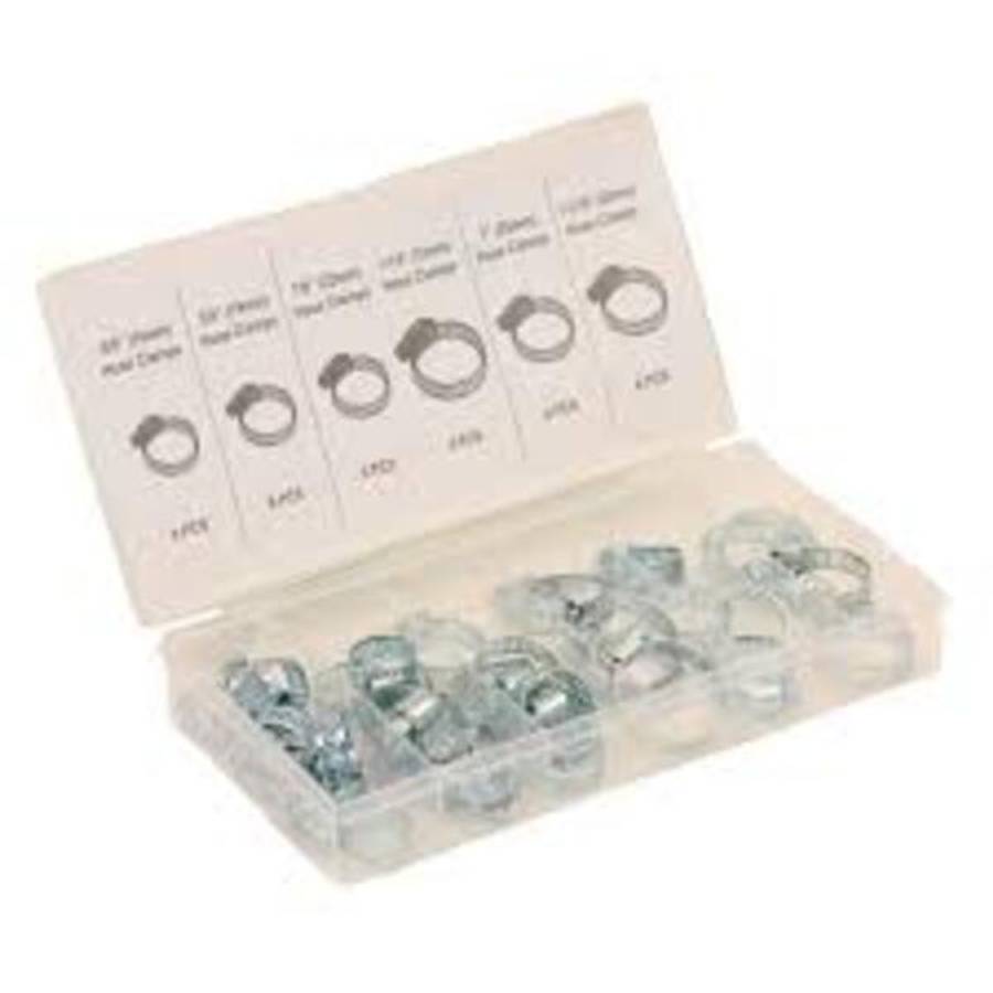 Micro-Tec 34Pcs Hose Clamp Assortment | I45348