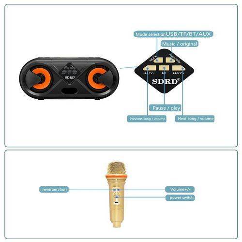 Wireless Bluetooth Karaoke Speaker SD303