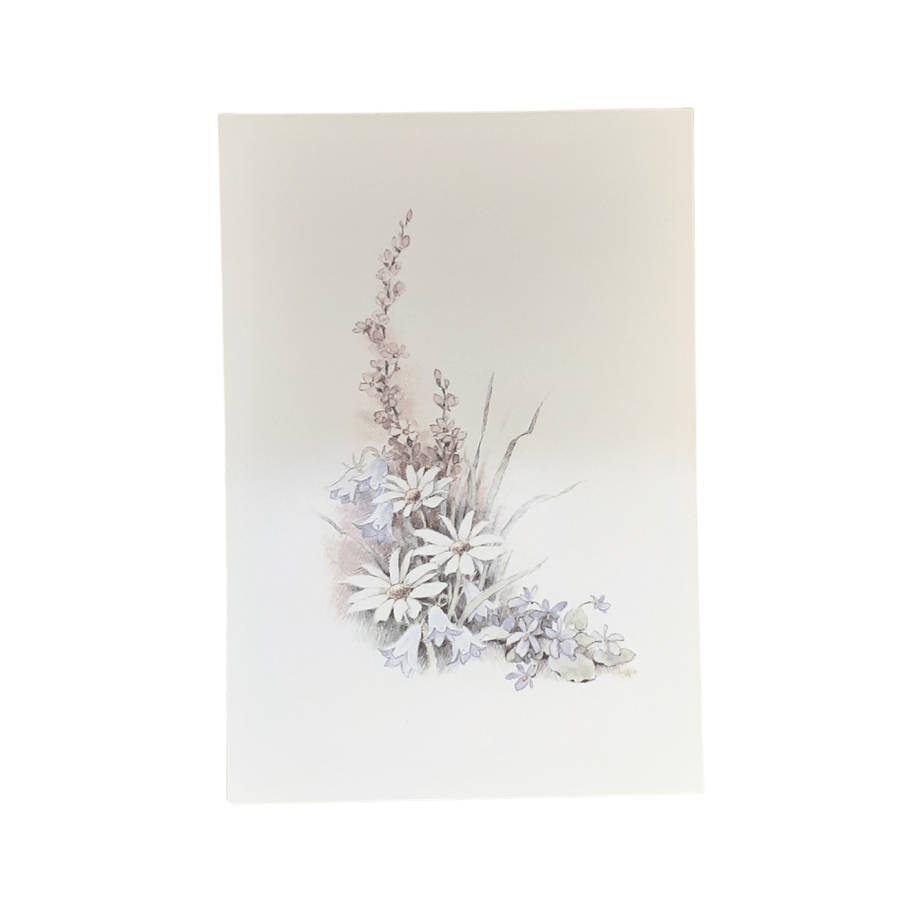 Sincere Sympathy Mass Card Saint Francis