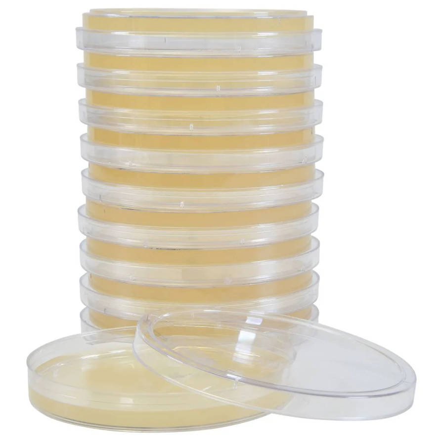 Pre-Poured Agar plates
