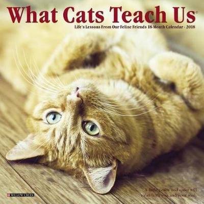 What Cats Teach Us 2018 Mini Wall Calendar (Calendar)