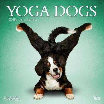 2018 Yoga Dogs Wall Calendar (Calendar) picture