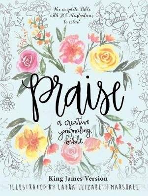 Praise: A Creative Journaling Bible (Hardcover) picture