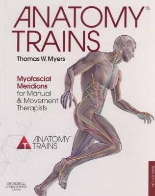 Anatomy Trains - Myofascial Meridians for Manual and Movement Therapists (Paperback, 3rd Revised edi picture