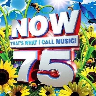 Now That's What I Call Music - Various 75 (CD)