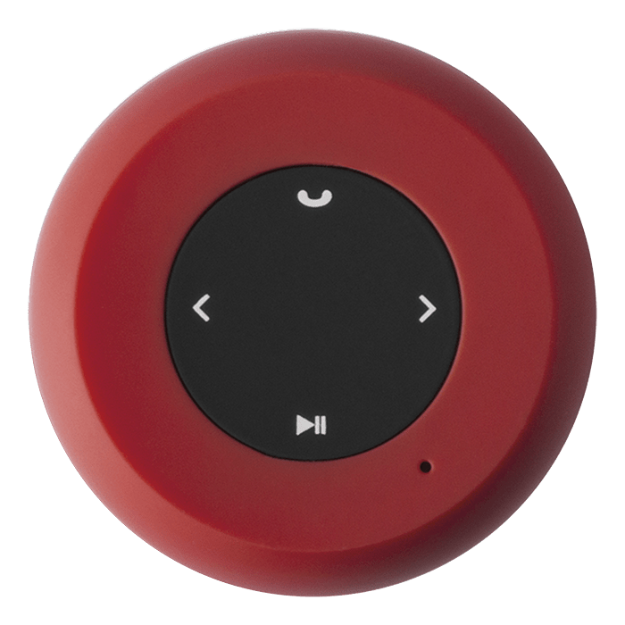 Braiss Bluetooth Speaker