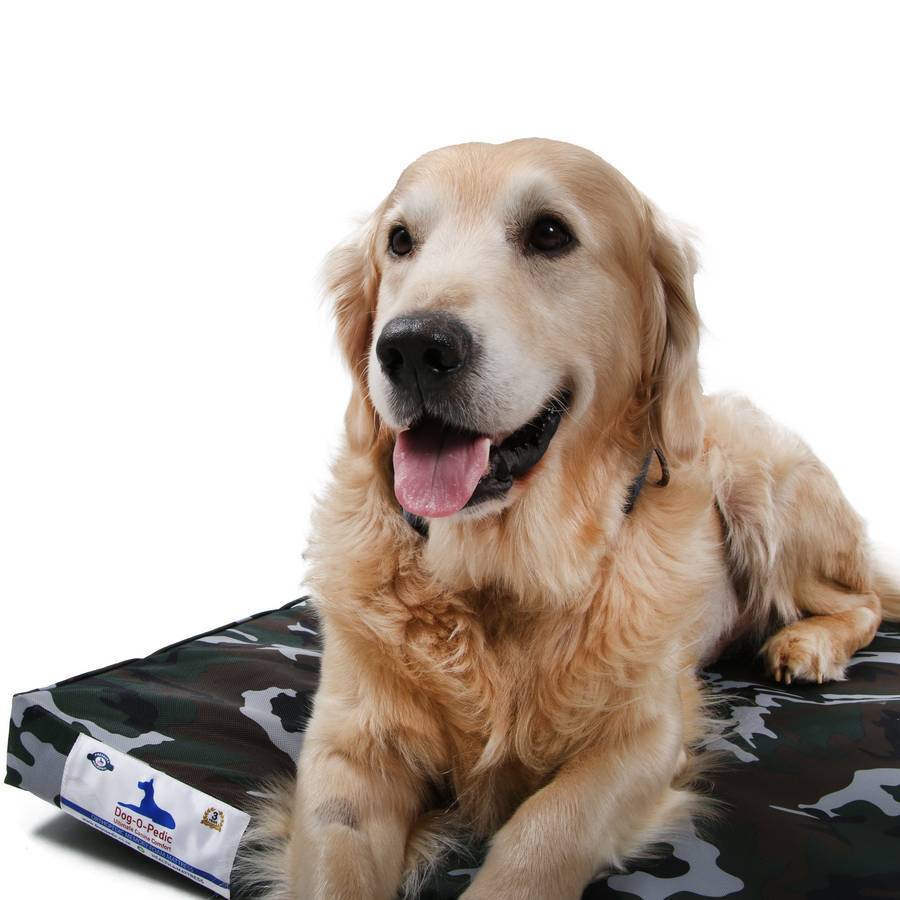 Dog-O-Pedic Hush Puppy Memory Foam Mattress